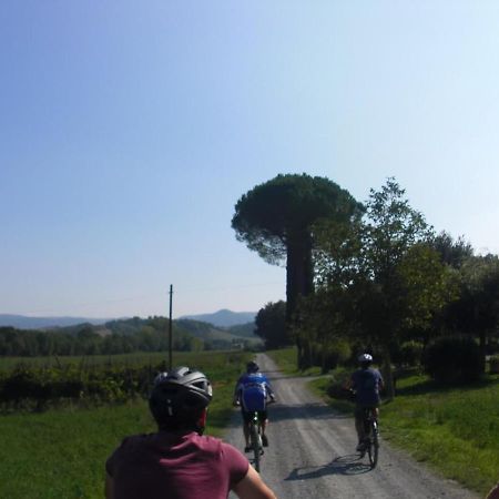 Podere Ripi Volterra Exteriér fotografie