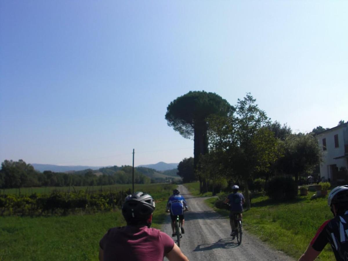 Podere Ripi Volterra Exteriér fotografie