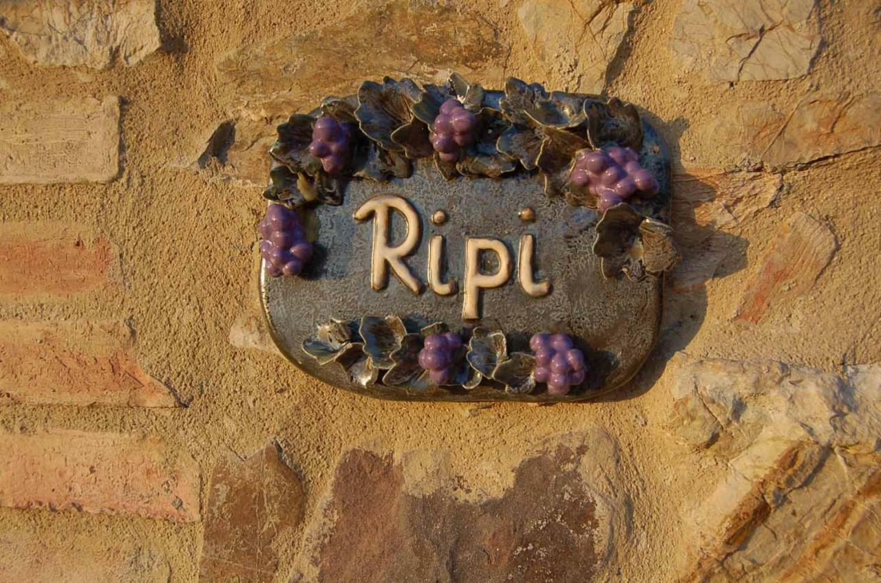 Podere Ripi Volterra Exteriér fotografie