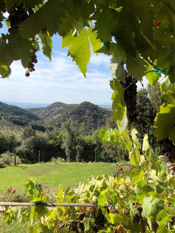 Podere Ripi Volterra Exteriér fotografie
